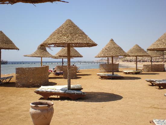 Parrotel Beach Resort ( X Radisson Blu Resort, Sharm El Sheikh) image9