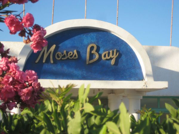 Moses Bay image16