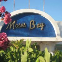 Moses Bay